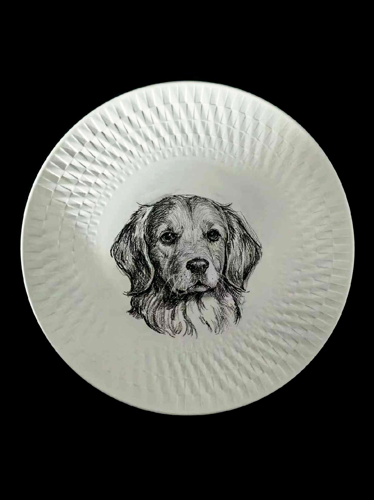 Custom Hand-Drawn Pet Portrait Ceramic Plate | Permanent Underglaze Memorial Art